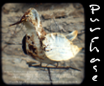 Download flac