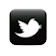 twitter icon